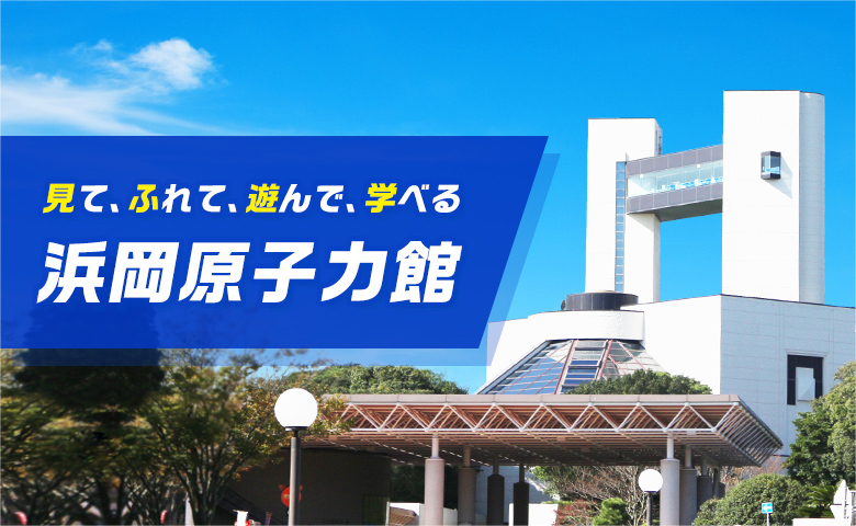 見て、ふれて、遊んで、学べる