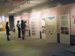 パネル展示の様子