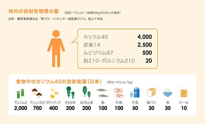 体内の放射性物質の量