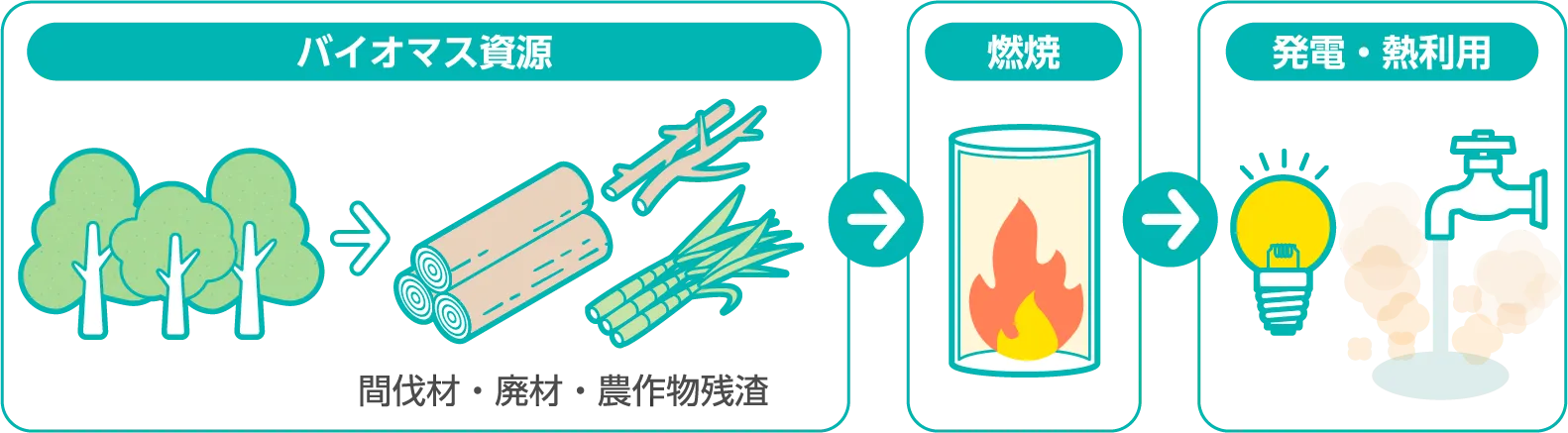 バイオマス発電の流れのイメージ画像