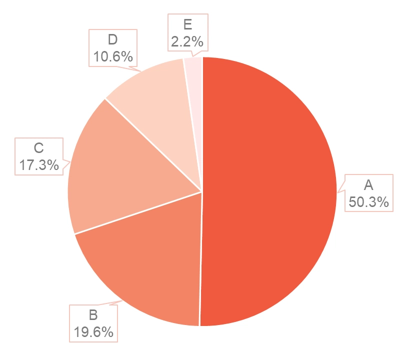 Questionnaire Results (Rank Breakdown)