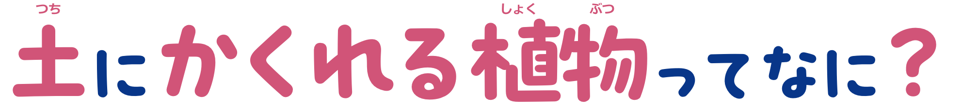 土にかくれる植物ってなに?
