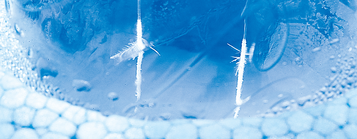 キラキラの雪を作ろう!