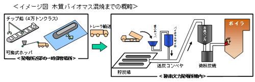 木質バイオマス混焼までの概略の図 木質バイオマス混焼までの概略の図