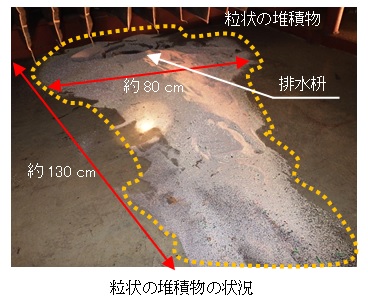 粒状の堆積物の状況の画像 粒状の堆積物の状況の画像