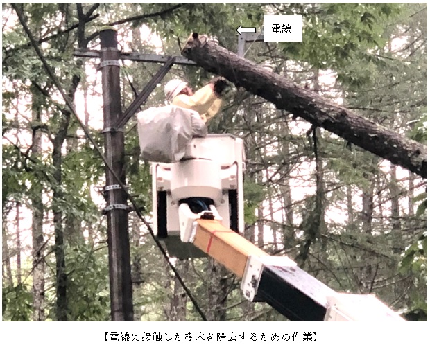 電線に接触した樹木を除去するための作業の写真 電線に接触した樹木を除去するための作業の写真
