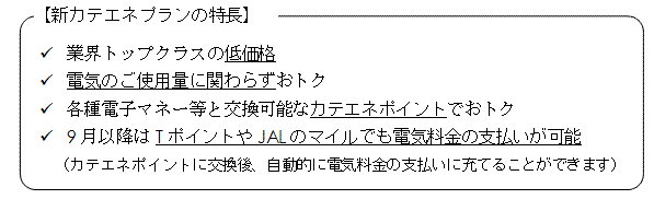 新カテエネプランの特長の表 新カテエネプランの特長の表