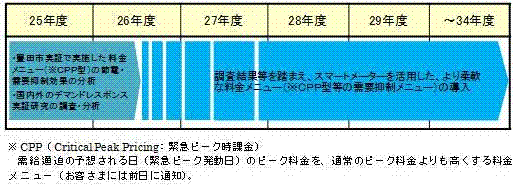 スマートメーターを活用した料金メニュー等の導入計画の図 スマートメーターを活用した料金メニュー等の導入計画の図