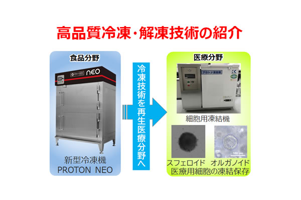 高品質冷凍・解凍技術の紹介