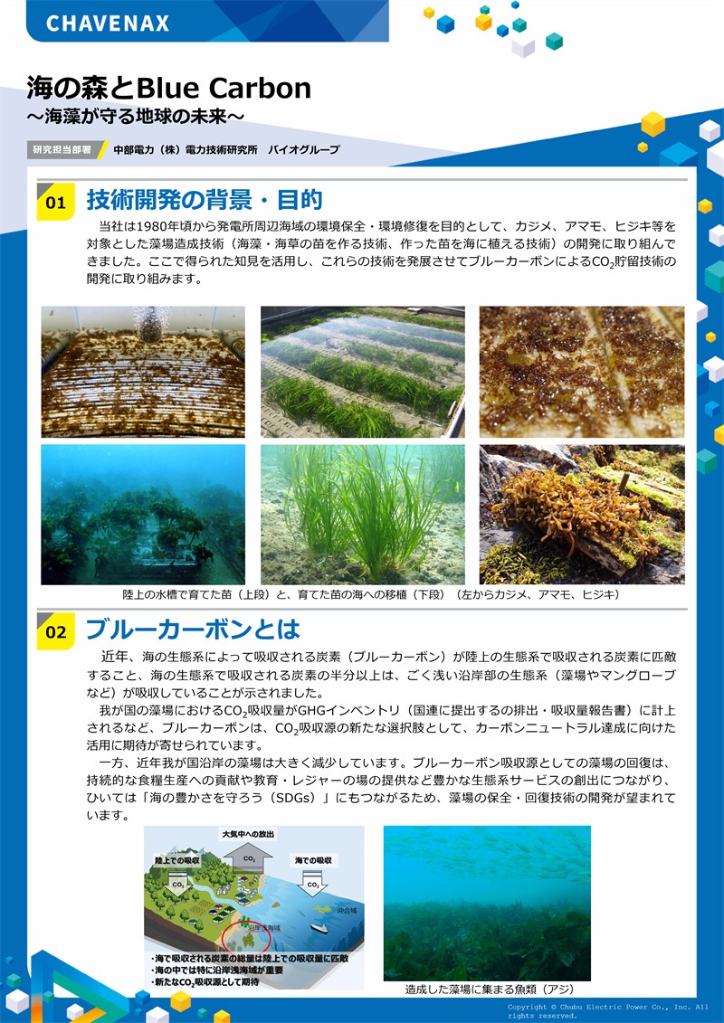ポスターイメージ画像